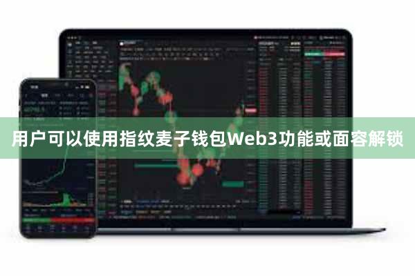 用户可以使用指纹麦子钱包Web3功能或面容解锁