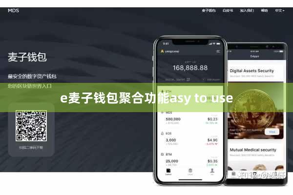 e麦子钱包聚合功能asy to use