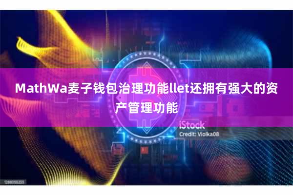 MathWa麦子钱包治理功能llet还拥有强大的资产管理功能